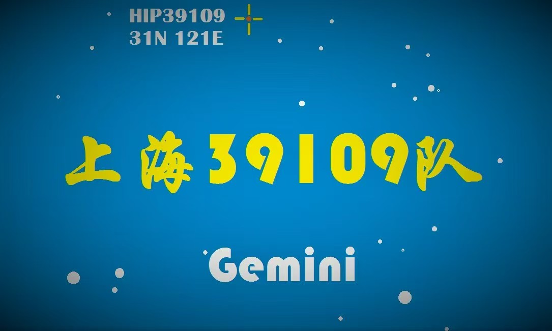 上海39109队队旗